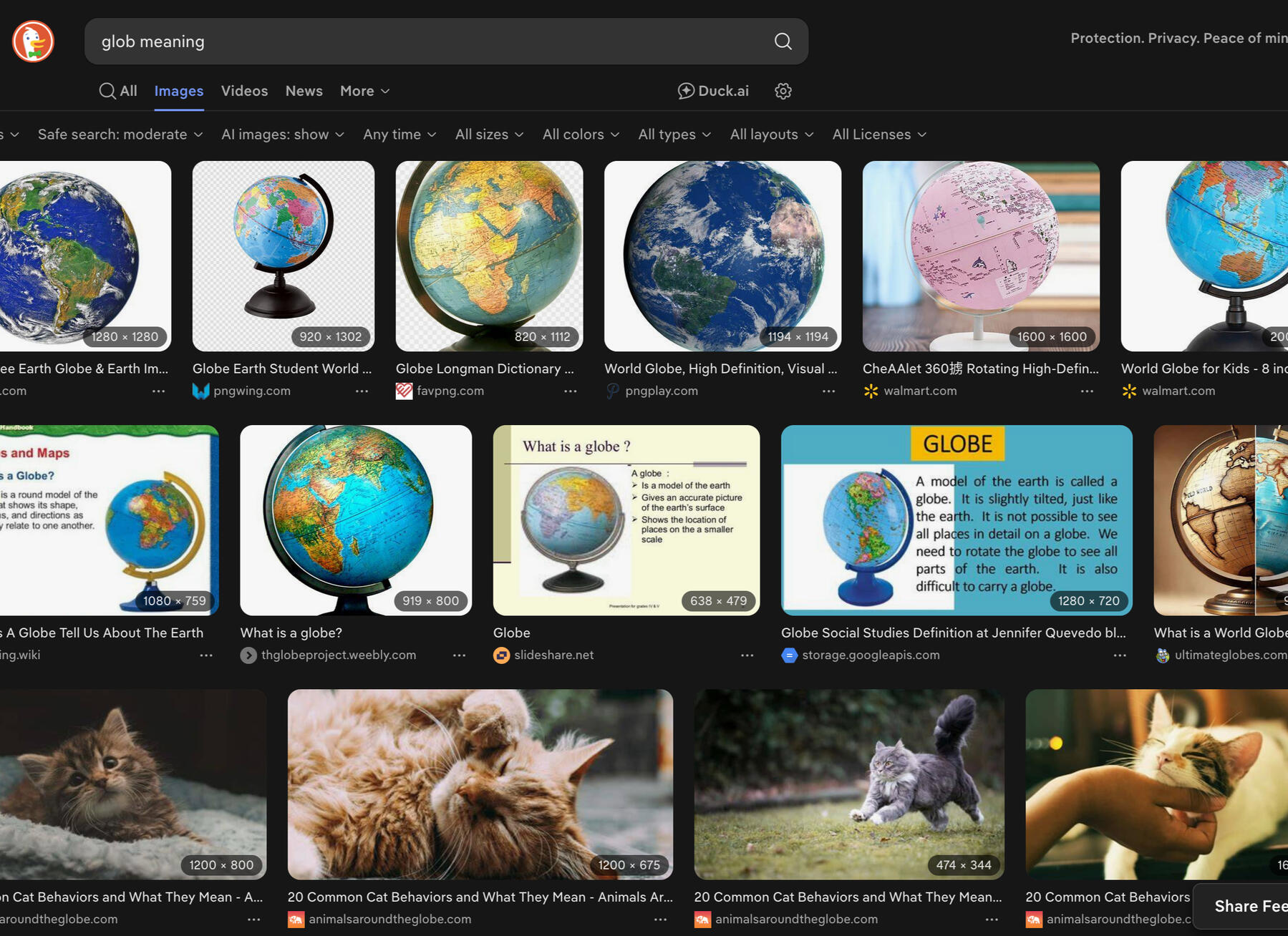 An image of the online search results for "glob meaning" (showing globes and cats;-)